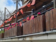 -杭州西湖风景名胜区-满觉陇四眼井