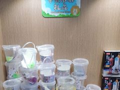 -关键词英语·青少儿·语言培训(龙华壹方天地校区)