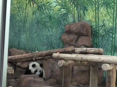 -秦皇岛野生动物园