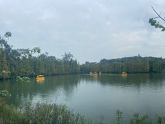 -星湖旅游景区七星岩