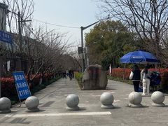 -高东镇樱花园