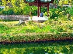-无锡蠡湖国家湿地公园-蠡园