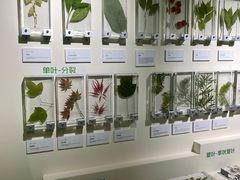 -中国湿地博物馆