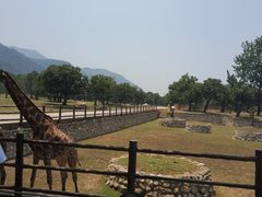 -西安秦岭野生动物园