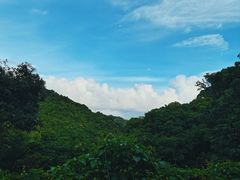 -阳台山森林公园
