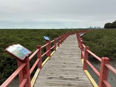 -北海金海湾红树林生态旅游区