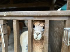 -太阳岛旅游度假区
