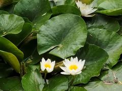-花亭湖风景名胜区