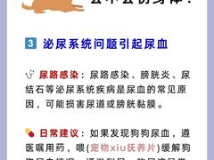 -守诺宠物医院·眼科· 神经外科·爬宠专科(虹口店)