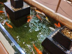 -太子园林酒家