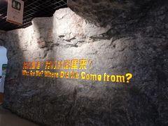 -国家自然博物馆