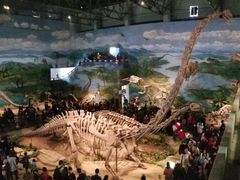 -自贡恐龙博物馆