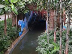 -南宫五洲植物乐园