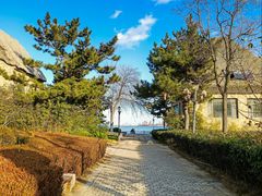 -悦海公园