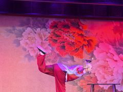 -盖碗儿梨园·变脸吐火·川剧(天府广场店)