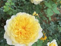 -人民公园(罗湖区)