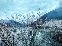 -佛掌沙丘