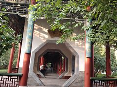 -迎泽公园