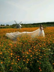 -蒙娜丽莎婚纱摄影(南门店)