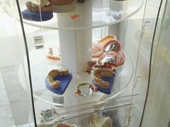 -新达口腔(华东理工大学店)