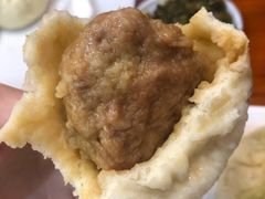 猪肉大葱-老陶包子铺(南大西南村店)
