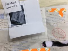 -苏州口腔医院(观前街院区)