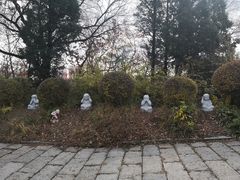 -高尔山公园