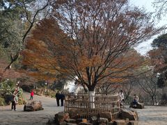 -岳麓山风景名胜区