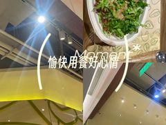 -油梨树AVOCADO TREE(嘉里中心店)