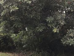 -南通鹏欣花园国宾酒店