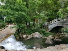 -广州市石门国家森林公园
