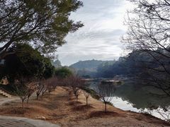 -南国桃园旅游度假区