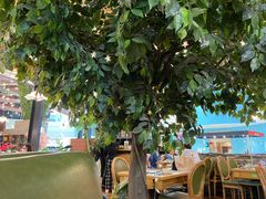 -青柠记忆泰式海鲜火锅(合生汇购物中心店)