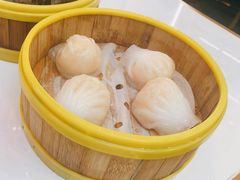虾饺皇-香港威特瑞茶餐厅(小白楼音乐厅店)