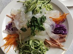七彩大拉皮-津悦·正阳春烤鸭(红旗南路店)