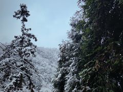 -西岭雪山大飞水景区