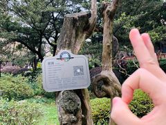 -望江楼公园