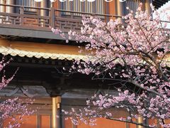 -广富林郊野公园