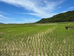 -岚山嵯峨野观光小火车