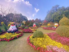 -南山植物园