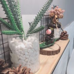 -YESIDO椰岛造型烫发染发