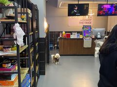 -LIENOW来闹密室剧本推理&狼人杀(东方亿象城店)