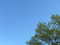 -友记功夫香·人民川菜(红牌楼店)