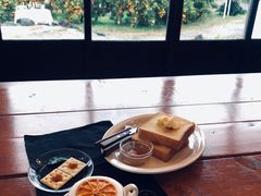 橘子拿铁-柑橘农场