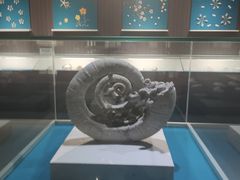 -青岛贝壳博物馆