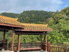 -铁山坪森林公园