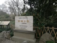 -西湖外事游船(花港观鱼码头)