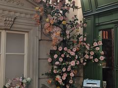 -花之城