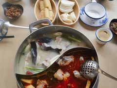 -大理老字号·舟渔的鱼野生菌海景餐厅(双廊店)
