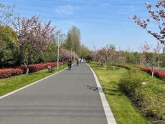 -昆山城市生态森林公园